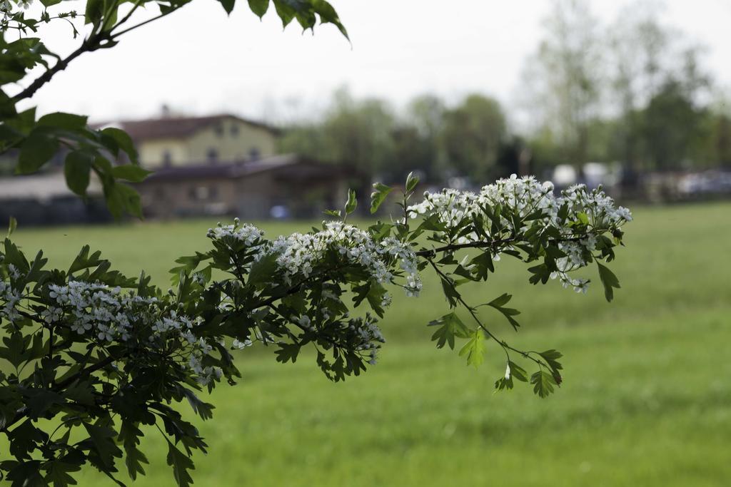 Отель Agriturismo I Due Merli Цаника Экстерьер фото